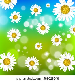 Beautiful white daisies on a bright background. Vector illustration