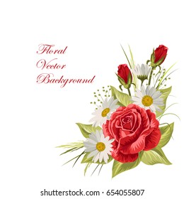 Beautiful white daisies and red roses on white background. Floral vector illustration.