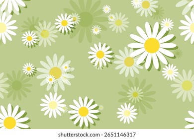 
Bonita flor branca margarida com núcleo amarelo flor padrão fundo