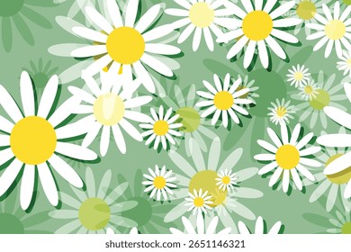 
Bonita flor branca margarida com núcleo amarelo flor padrão fundo