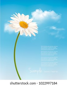 Beautiful white daisy in front of the blue sky. Vector.