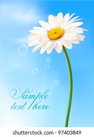 Beautiful white daisy in front of the blue sky. Vector.