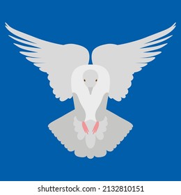 Beautiful white dove flying way up in a blue sky. Vector illustration