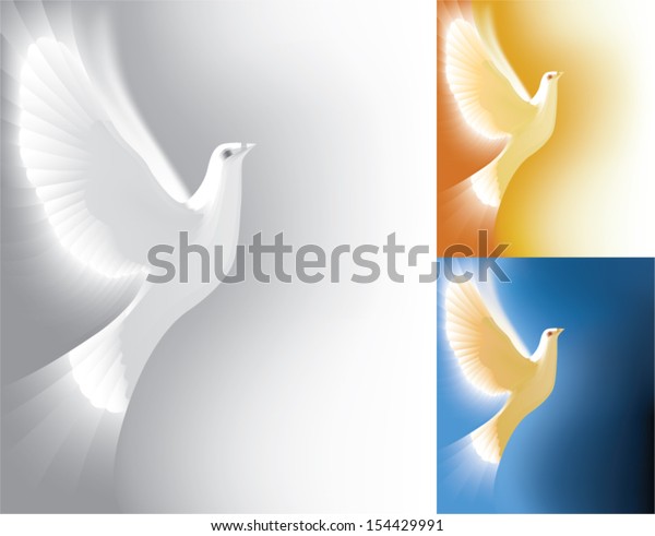 Beautiful White Dove Flying Way Radiating Stock Vector (Royalty Free ...