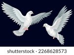 Beautiful white doves. Poster with two birds symbolizing peace and kindness. Design element for card, invitation and social network. Cartoon realistic vector illustration isolated on black background