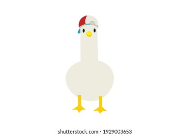 Beautiful White Duck Vector Illustration