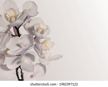 Beautiful white flower nature background 
