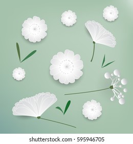 Beautiful White flower  spring  background. vector illustration