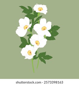 Beautiful white flower with stem and leaves, perfect for nature-themed designs and eco-friendly products.