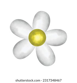 Beautiful white flowers on separate on white background, vector, wedding decorations, greeting cards, anniversaries.