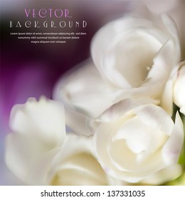 Beautiful white flowers on a violet background.