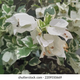 beautiful white gray flower vector illustration
