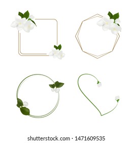 Beautiful white jasmine flower vector isolated on white background, illustration for decorating text frames, element floral design for banner or wedding invitation card, mother day flower