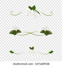 Beautiful white jasmine flower vector on transparency background, illustration for decorating text frames, element floral design for banner or wedding invitation card, mother day flower