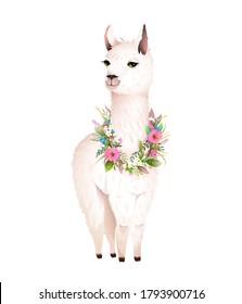 Beautiful white lama wearing flowers laurel, romantic and cute animal print design. Llama vector cartoon in artistic realistic hand drawn watercolor style for t-shirts, logo other animal projects.