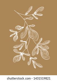 Beautiful white pattern of maple lionfish. Ethnic floral motif made from natural elements. Author's eco design