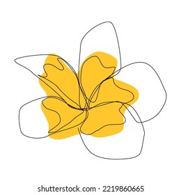 beautiful white plumeria rubra flower minimalist one line art on White background. Tropical flower frangipani. Blooming phumelia or Champa flower.