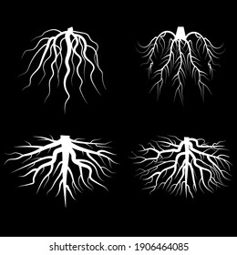 Beautiful white roots. Doodle illustration on black backdrop. Silhouette vector. Line art. Stock image.