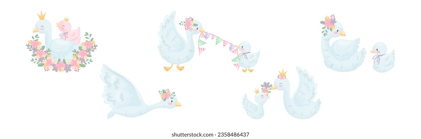 Beautiful White Swan or Goose with Golden Crown and Floral Arrangement Vector Set