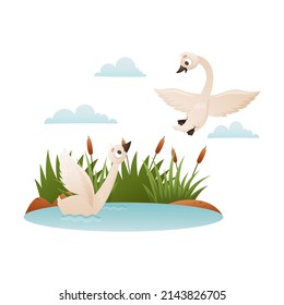 Beautiful white swans. Wild swan birds cartoon vector illustration