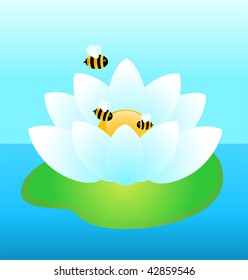 beautiful white water-lily on a blue background with funny bees