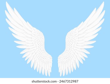 beautiful white wings. Images of angels, gods, and swans