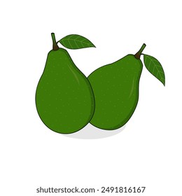 Beautiful whole avocado fruit vector design new version realistic illustration. avocados with leaf. graphic design, food logo, juice icon, packaging sticker. fresh green color. Cartoon style