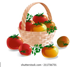 Beautiful wicker basket with red, yellow and green tomatoes and herbs isolated on a white background. Vector illustration.