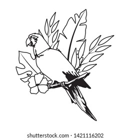 beautiful wild birds with exotic flower and macaw on a branch icon cartoon in black and white vector illustration graphic design