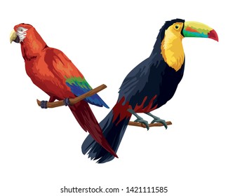 bellas aves silvestres macaw sobre una rama y un ícono de la cartografía cartográfica vectorial diseño gráfico