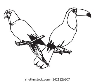 beautiful wild birds macaw over a branch and a toucan icon cartoon in black and white vector illustration graphic design