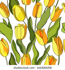 Hermoso tulipán de floración salvaje sin fisuras en un estilo de dibujo a mano sobre fondo blanco, envoltura. Flor botánica vectorial floral. Flor silvestre de hoja de primavera aislada. Textura de impresión de papel pintado de tela.