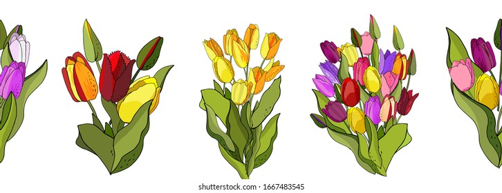 Beautiful Wild blooming tulip seamless border in a hand drawing style on white background, wrapper. Vector Floral botanical flower. Spring leaf wildflower isolated. Fabric wallpaper print texture.