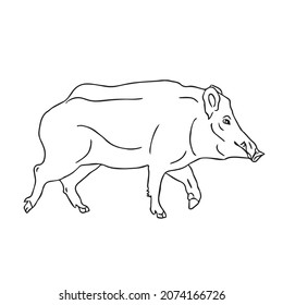 235 Warthog line art vector Images, Stock Photos & Vectors | Shutterstock