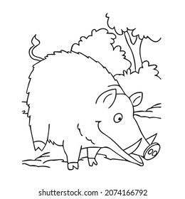 beautiful Wild Boar line art images,outline drawing,vector art and illustrations art 