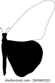 beautiful wild butterfly art design