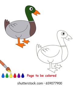 Beautiful Wild Duck to be colored, the coloring book for preschool kids with easy educational gaming level.
