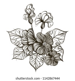 Beautiful wild flower. Decorative floral element for greeting cards, invitations and much more. Outline vector illustration isolated on white background.