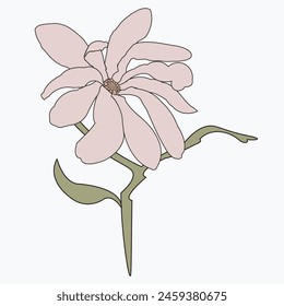 Beautiful wild flower drawn close-up. Vector illustration can be used as decoration.