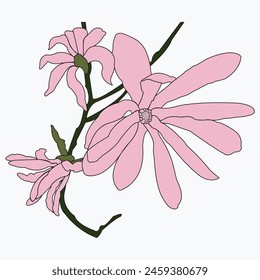 Beautiful wild flower drawn close-up. Vector illustration can be used as decoration.