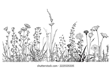 Beautiful wild flowers in the field hand drawn sketch Vector illustration