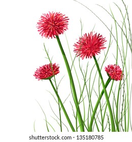 Beautiful Wild Flowers Illustration. Vector decorative flowers and grass illustration. EPS8. No effects.