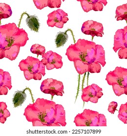 Beautiful wild flowers. Meadow flowers, field flowers. Pattern