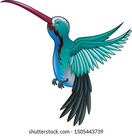 Beautiful a wild hummingbird flying cartoon