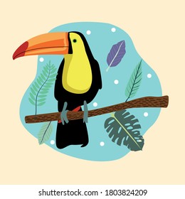 beautiful wild toucan bird scene vector illustration design