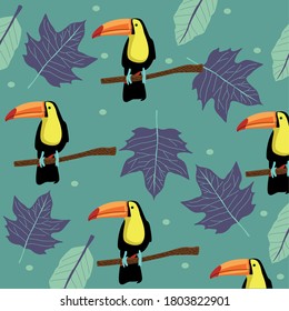 beautiful wild toucans birds pattern vector illustration design