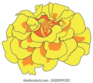 A beautiful wildflower of yellow color, with orange spots on the petals of the plant. A blossoming bud can be used well for illustration design.