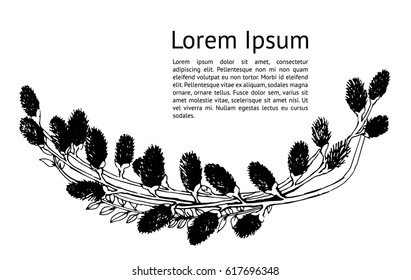 Beautiful willow branch in black and white color