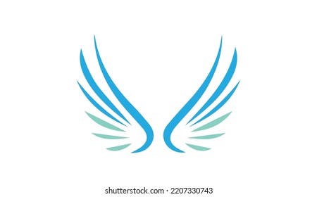 beautiful wings vector icon image.