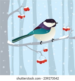 Beautiful Winter Bird